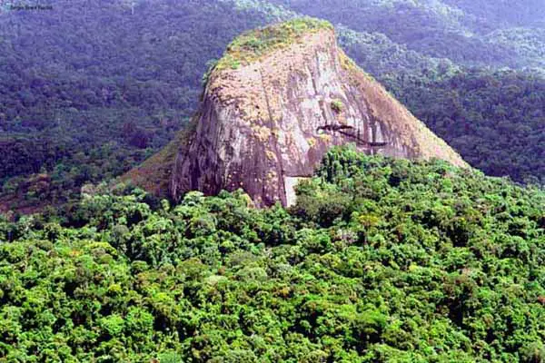 Parque Nacional das Montanhas do Tumucumaque