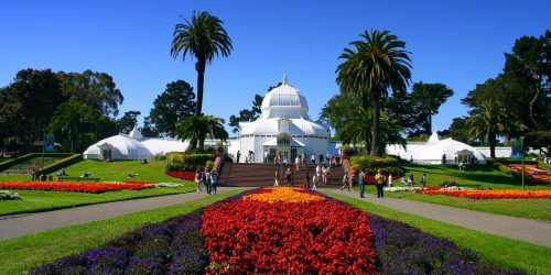 Conservatory of Flowers 