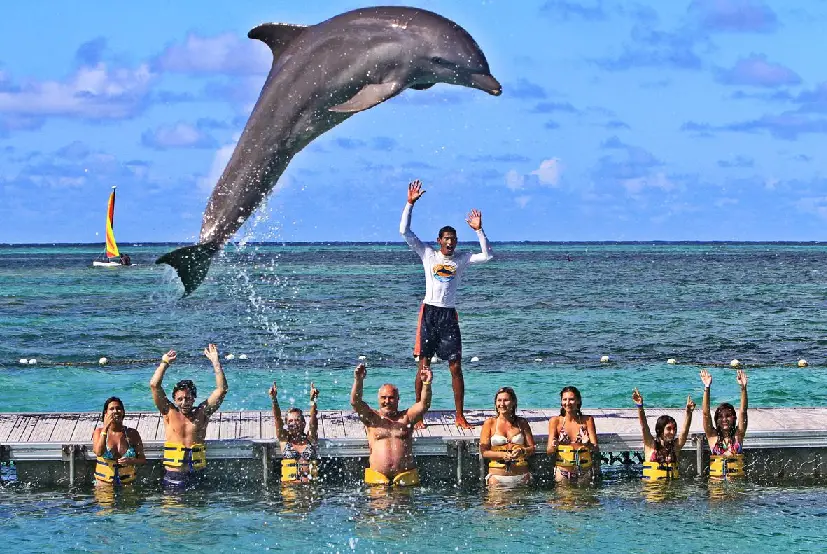 Dolphin Island Park - Punta Cana