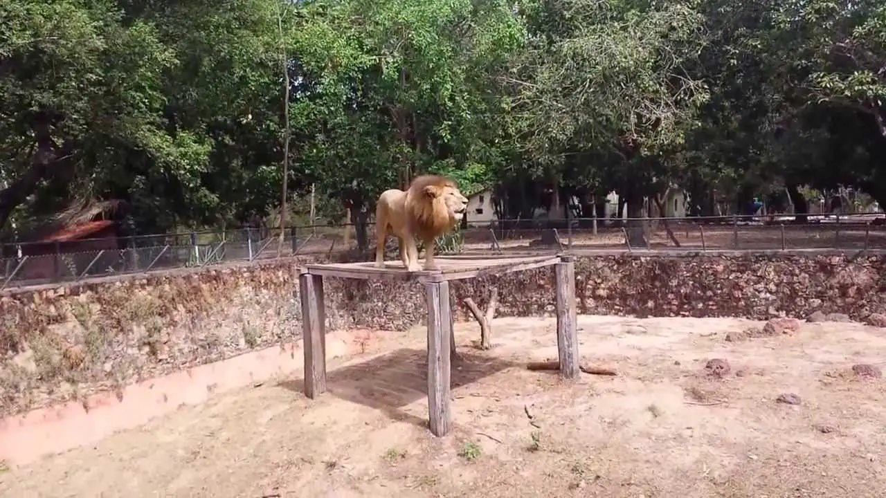 Parque Zoobotânico de Teresina