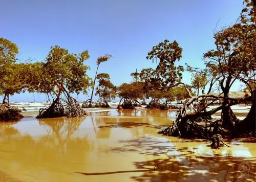 Praia da Barra Velha