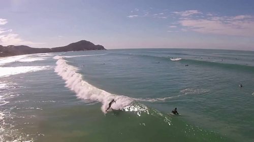 Surfando na Praia do Rosa