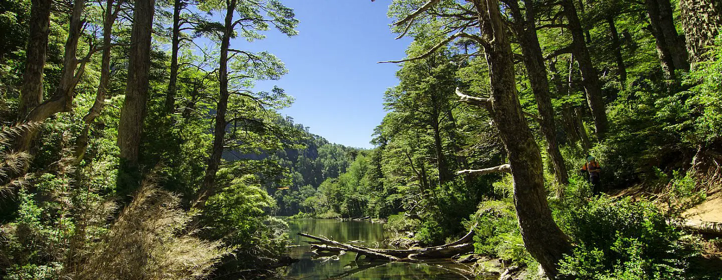 Parque Nacional Huerquehue