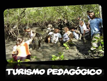 Turismo Pedagógico