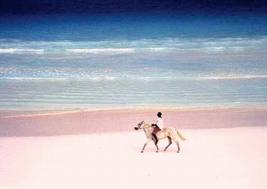 pink-sand-beach-2