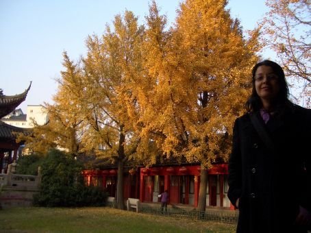 Parque do Lago de Xuanwu