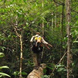 Desenvolvendo o Turismo Sustentável no Brasil