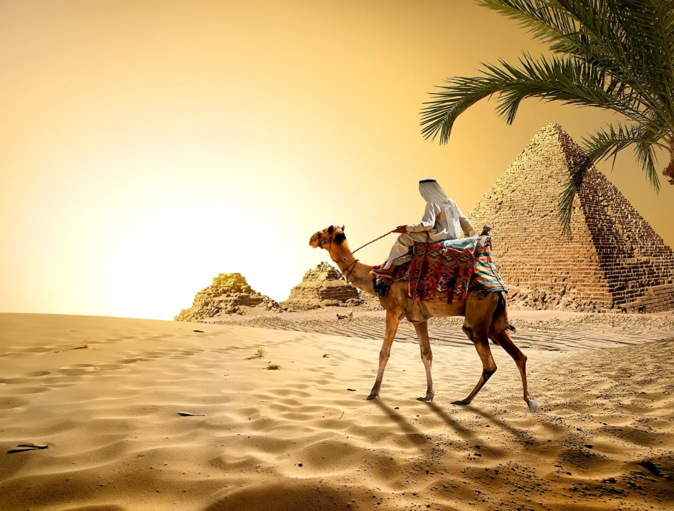 Homem Andando de Camelo 